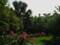 Hotel-Corasol-Resort-Garden